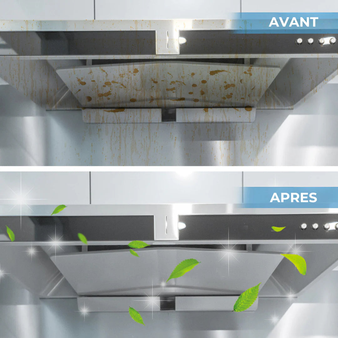 Nettoyeur Vapeur Haute Température