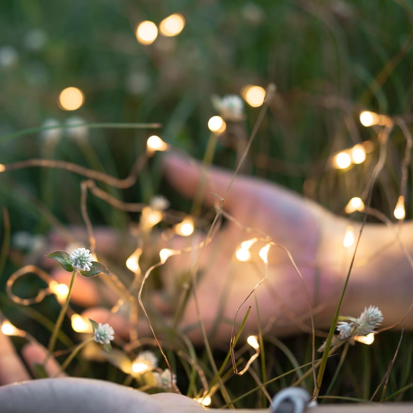 LED pour Jardin