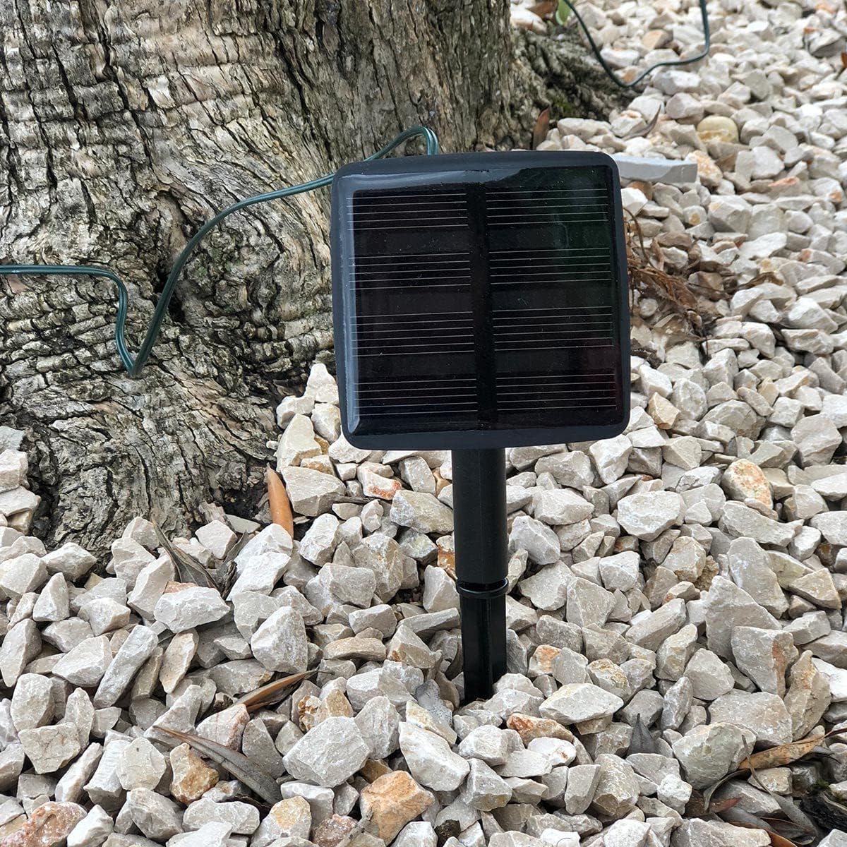 LED pour Jardin
