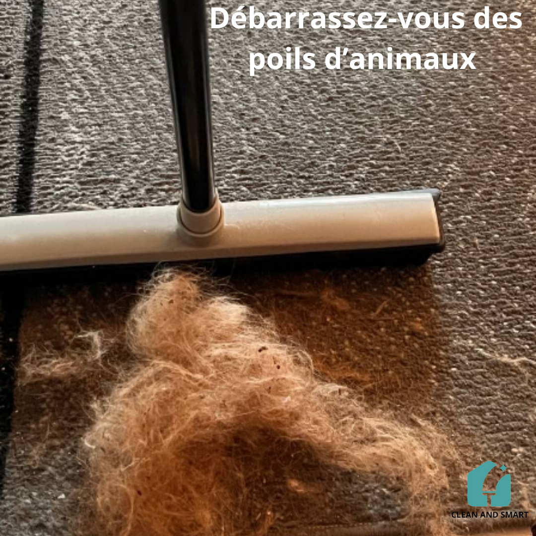 BALAI TÉLESCOPIQUE EN SILICONE POUR NETTOYAGE DE TAPIS