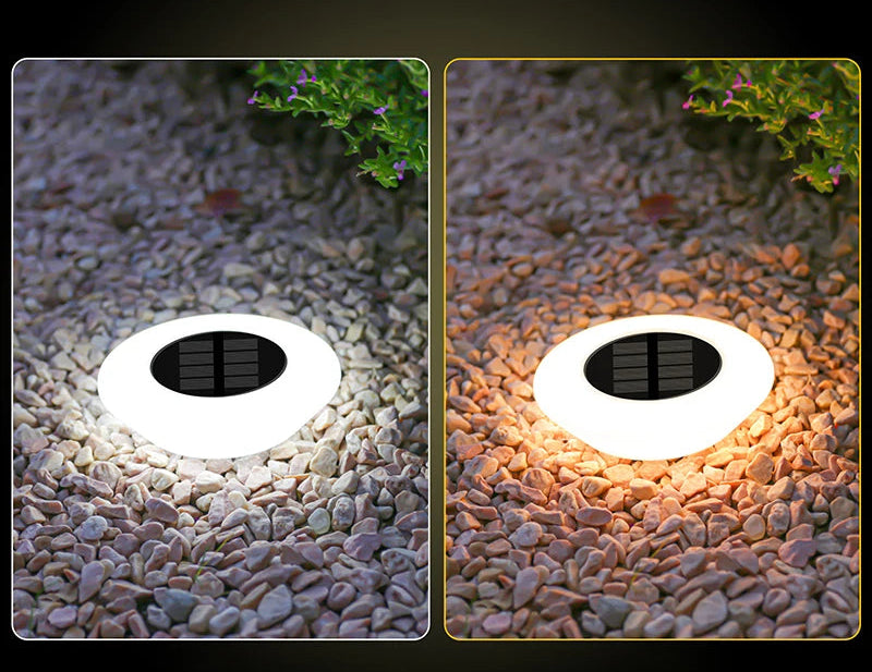 LED pour Jardin