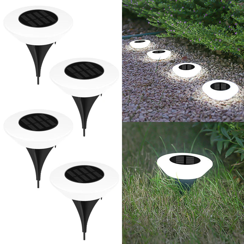LED pour Jardin