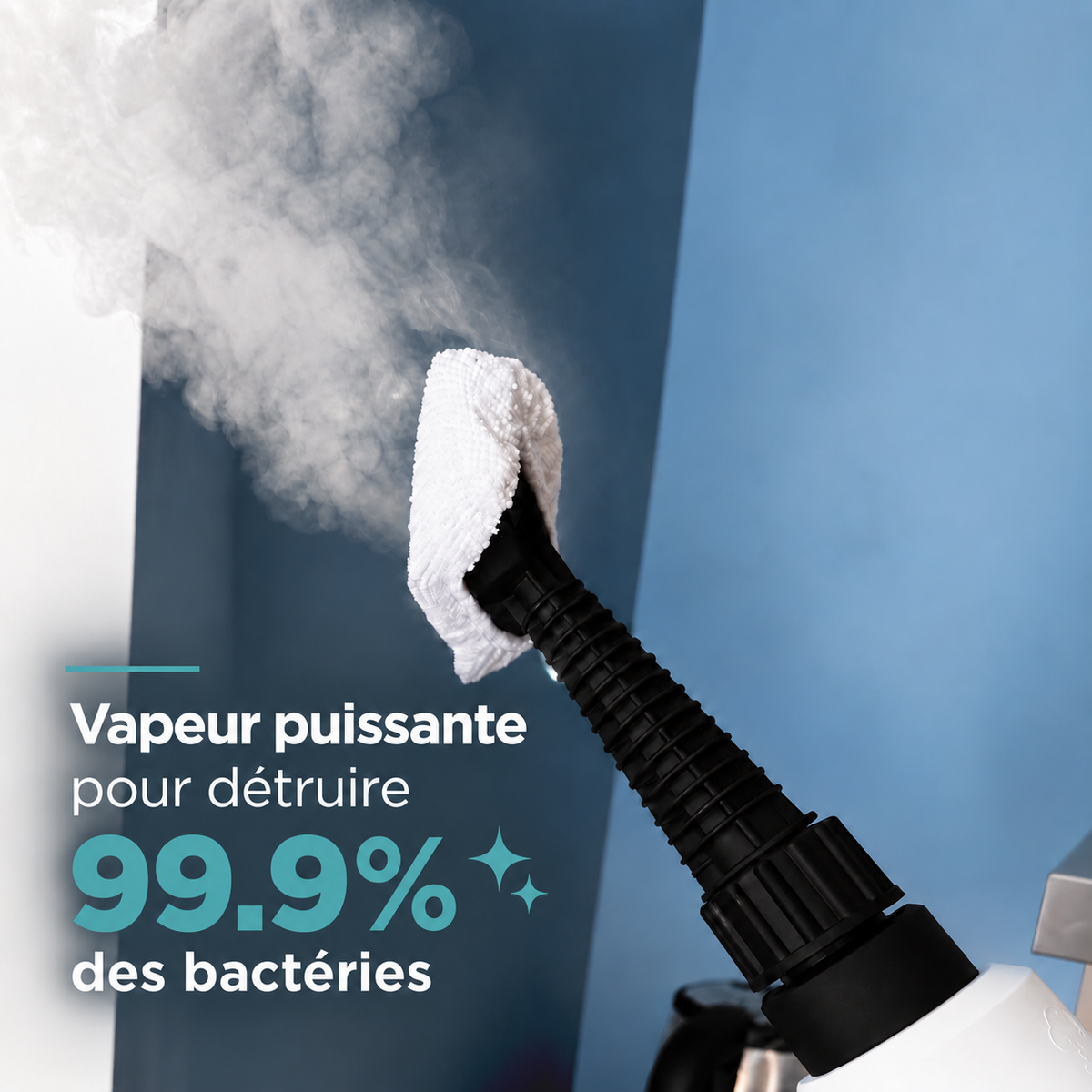 Nettoyeur vapeur à main Clean & Smart