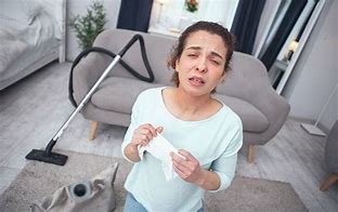 Guide Complet pour Éliminer les Allergènes de votre Maison : 10 Astuces Efficaces - CLEAN AND SMART