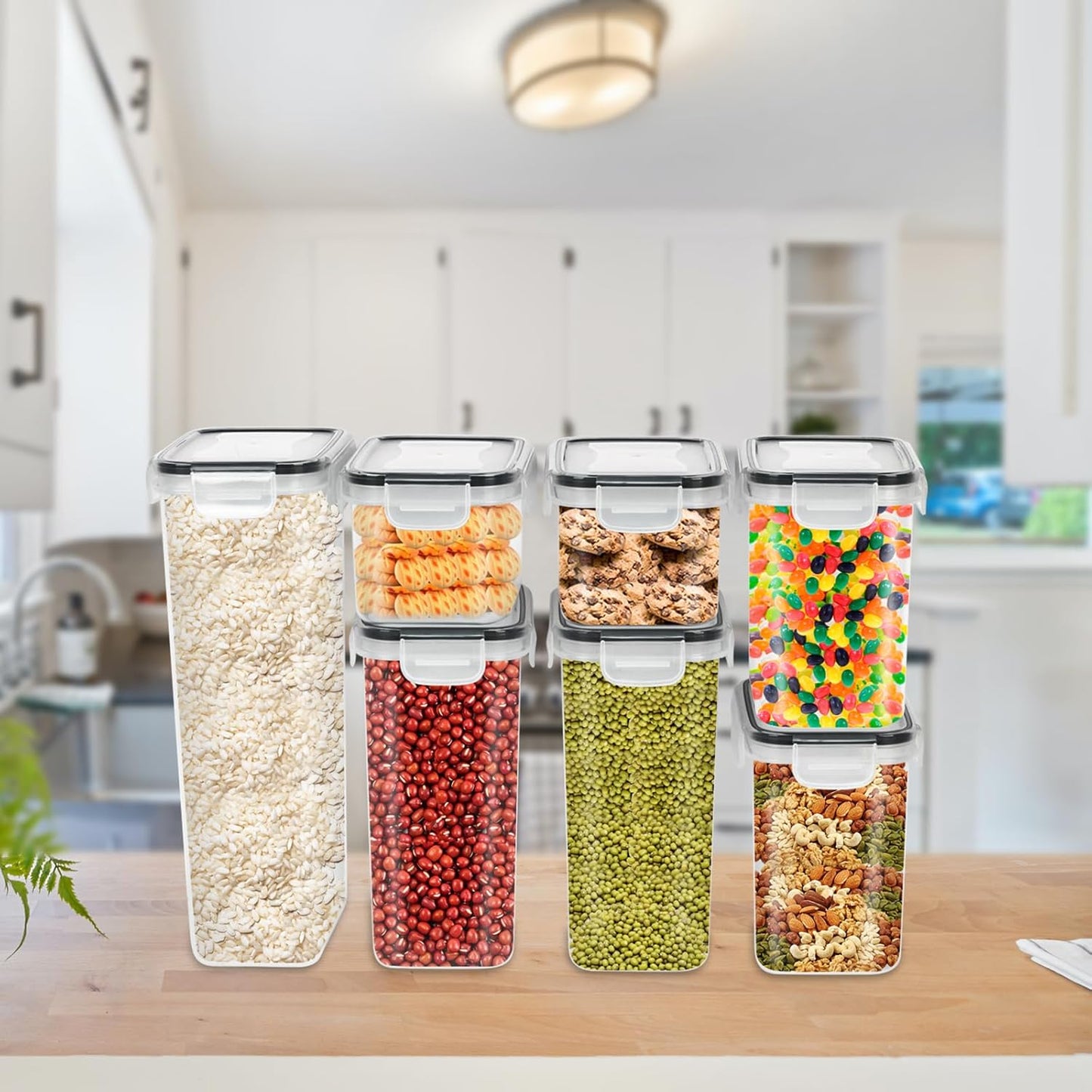 Boîtes Hermétiques Alimentaires