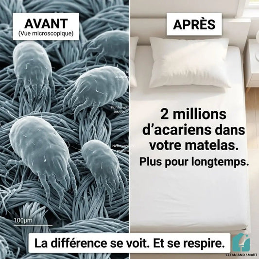 Acariens vus au microscope dans un matelas, avant et après passage de l'aspirateur UV-C