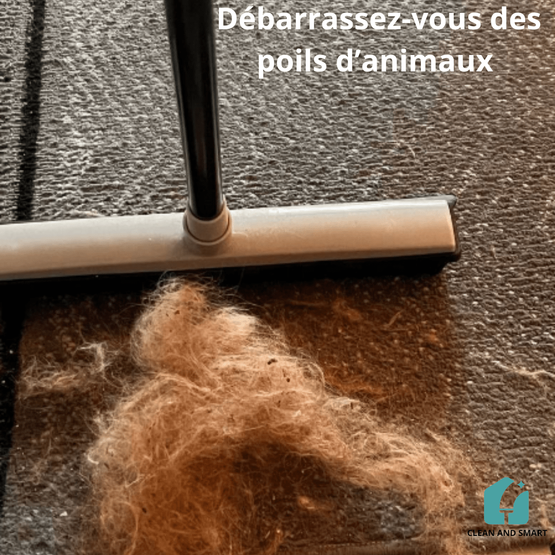 BALAI TÉLESCOPIQUE EN SILICONE POUR NETTOYAGE DE TAPIS - CLEAN AND SMART