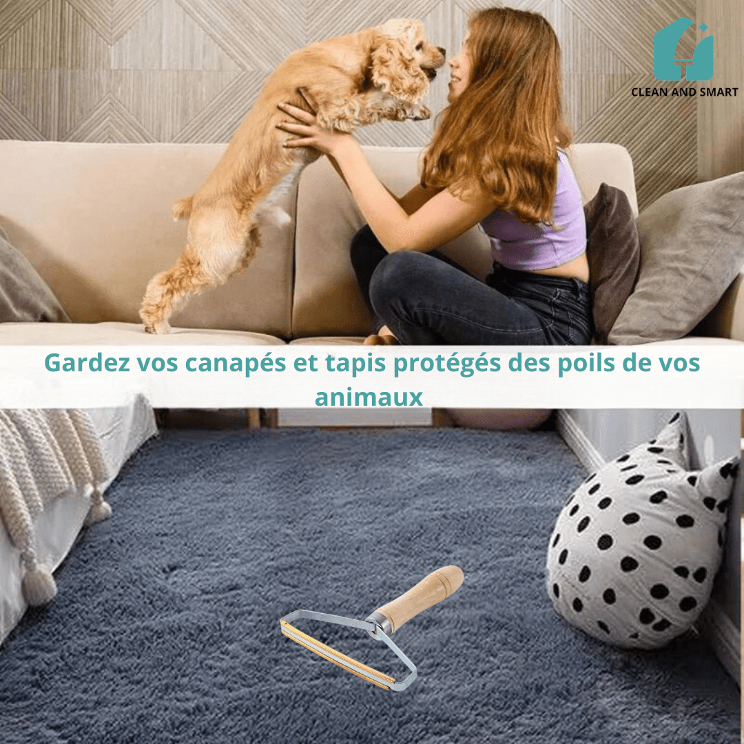BROSSE ANTI - POILS DOUBLE FACE EN CUIVRE - CLEAN AND SMART